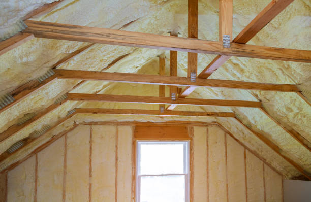 Best Insulation Maintenance and Repair in Berkeley Lake, GA